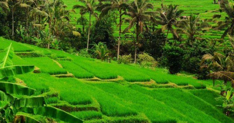 Pinterest.com/Марина